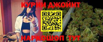 молекула духа Будённовск