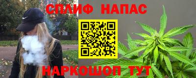 молекула духа Будённовск